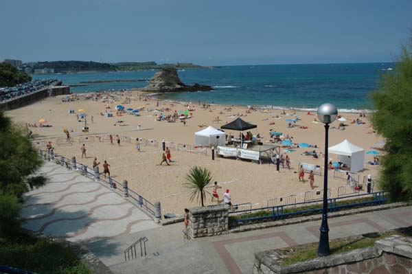 camello_19_07_2008_01