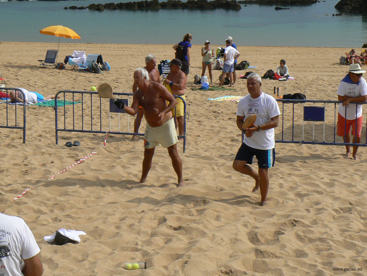 Palas 150718 XX 12 #3F0015