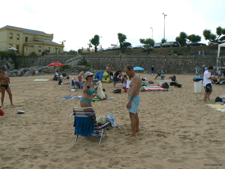 Palas 150718 XX 12 #3F0023