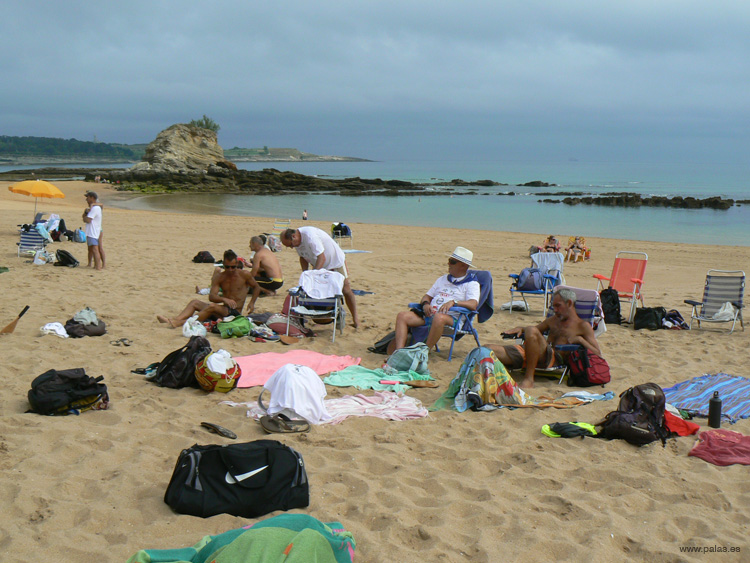 Palas 150718 XX 12 #3F0024